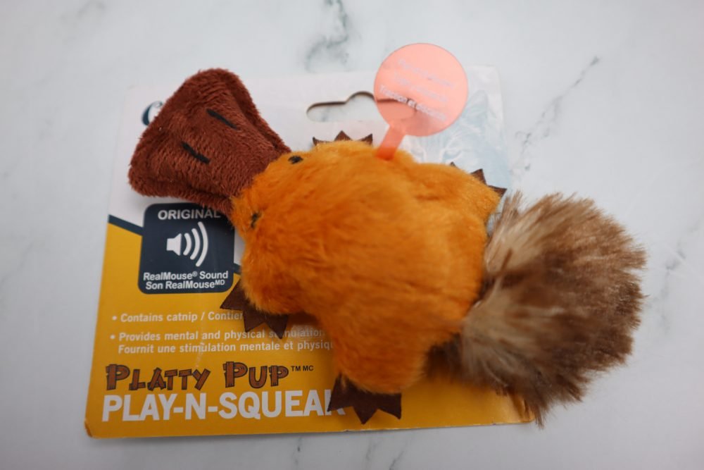 Play-N-Squeak Platty Pup