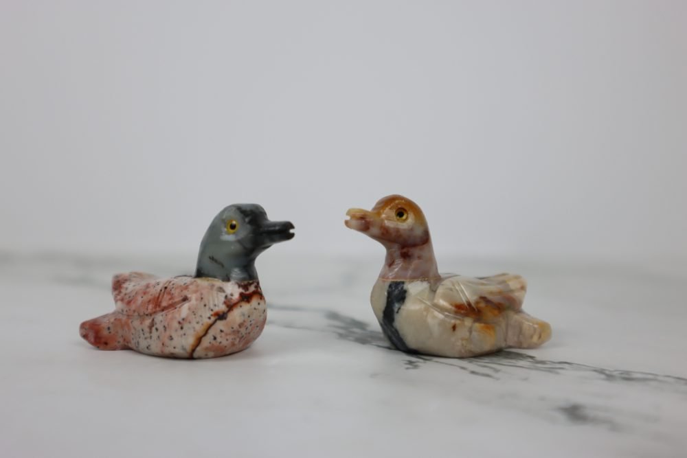 ducks of a feather