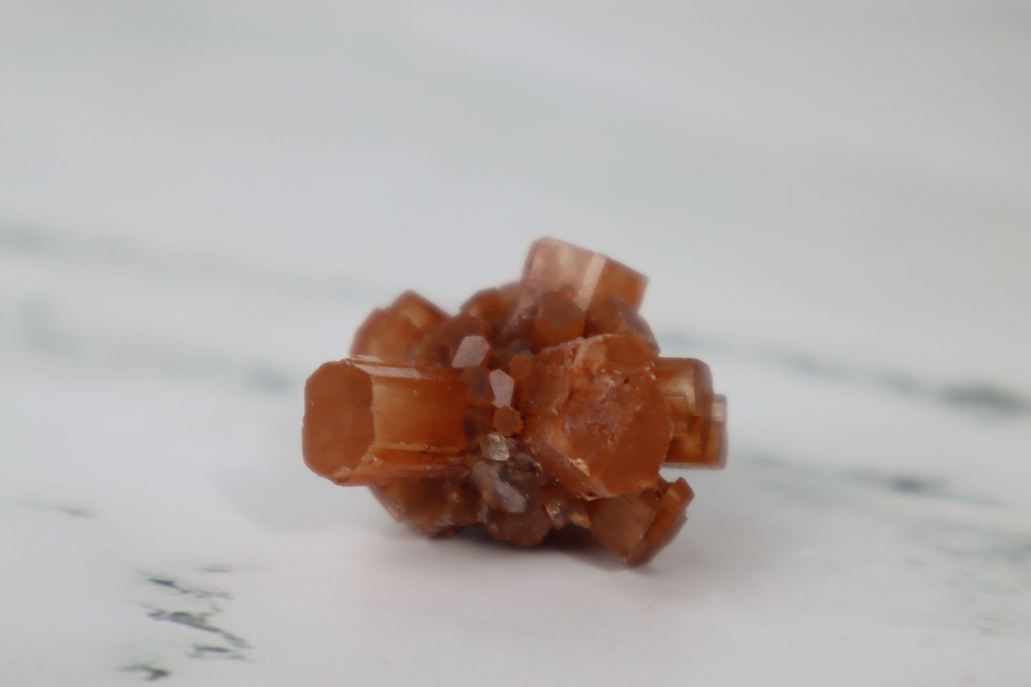Aragonite 3 Piece Collection 4 Aragonite 3 Piece Collection - Image 4