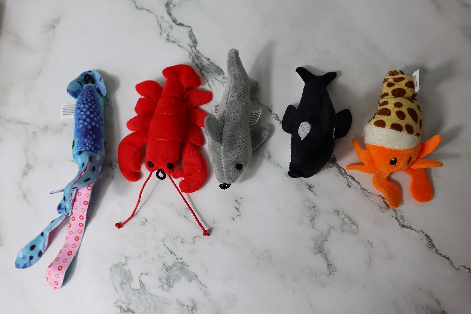 Deep Sea Catnip Teasers 1 Deep Sea Catnip Teasers