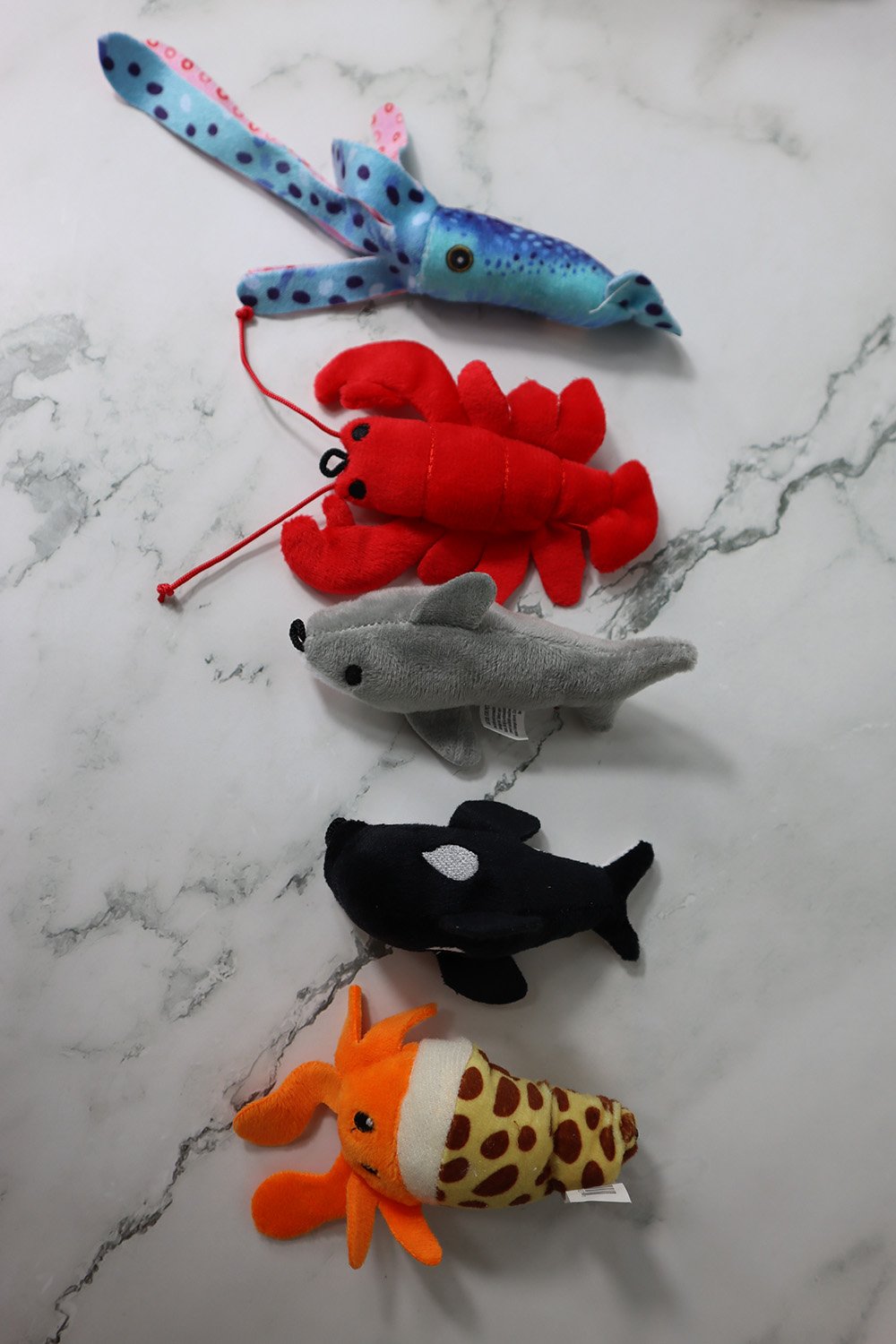 Deep Sea Catnip Teasers 11 Deep Sea Catnip Teasers - Image 11