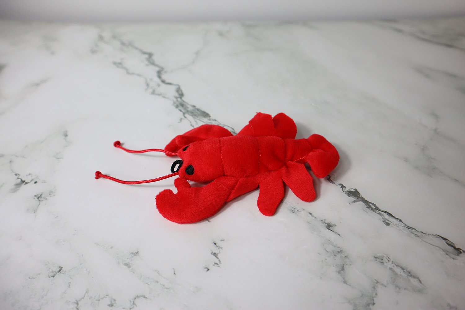 Deep Sea Catnip Teasers 6 Deep Sea Catnip Teasers - Image 6